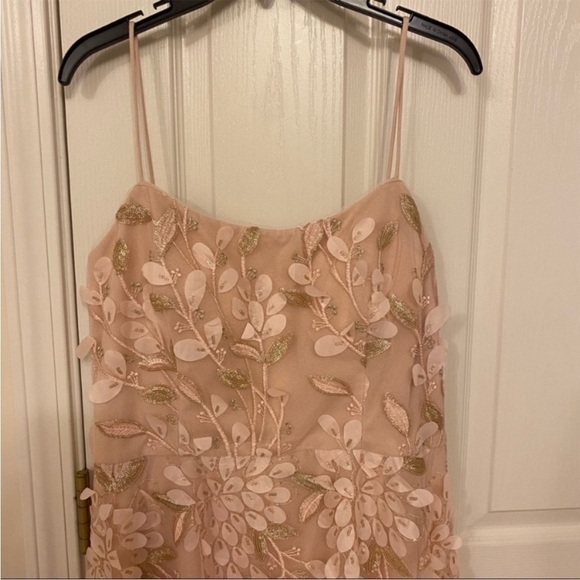 XSCAPE Floral-Appliqués High-Low Gown in Blush - Picture 6 of 11